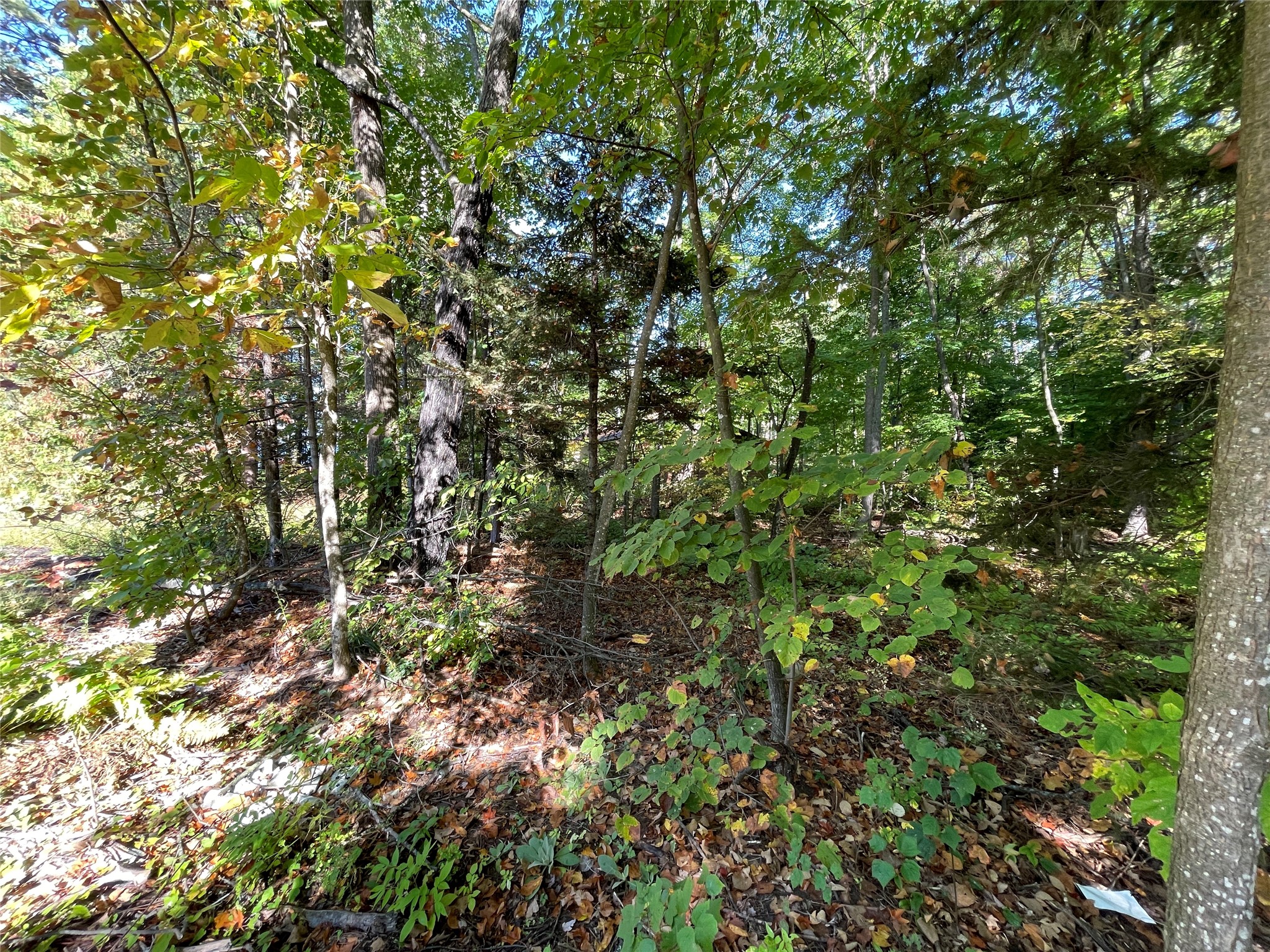 6073 North Elsie Road Stone Lake, WI 54876 - Photo 39 of 42