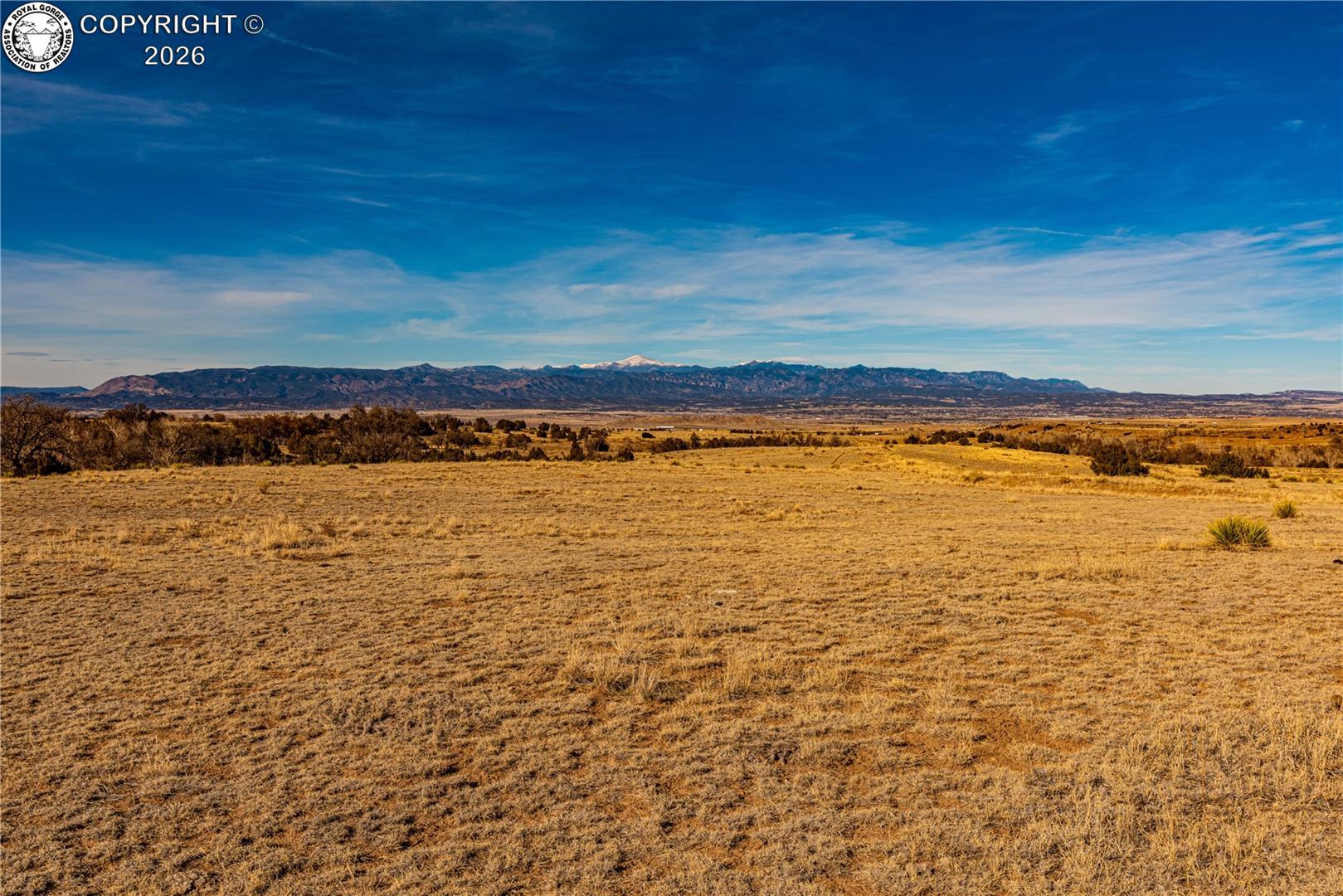 106 County Road 106 Rye, CO 81069 - Photo 22 of 35 Gallery Image 22
