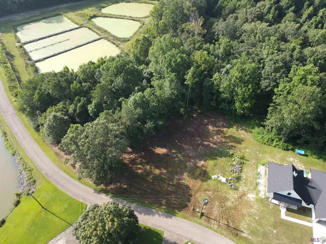 $25,650 | Lot 50 Treakle Drive, Jackson, LA 70748