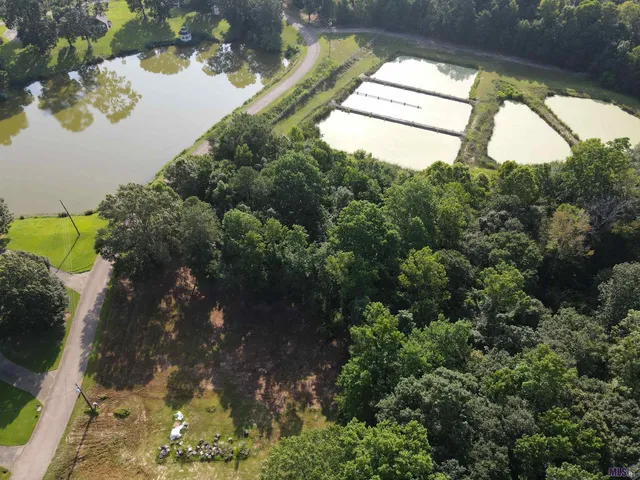 $25,650 | Lot 50 Treakle Drive, Jackson, LA 70748