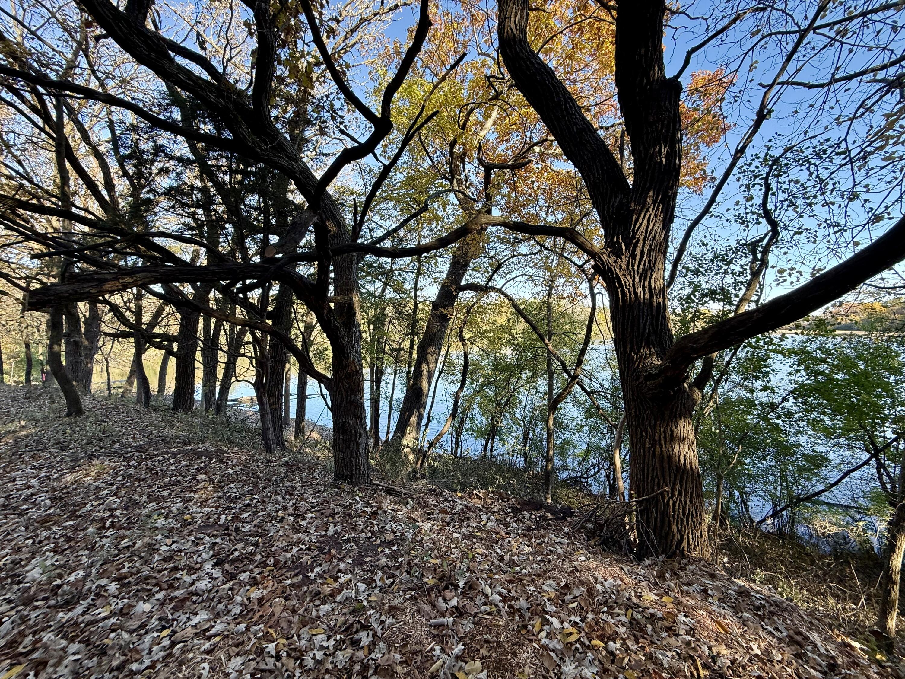 Lt2 Wolf Drive Dousman, WI 53118 - Photo 11 of 13 IMG_0226