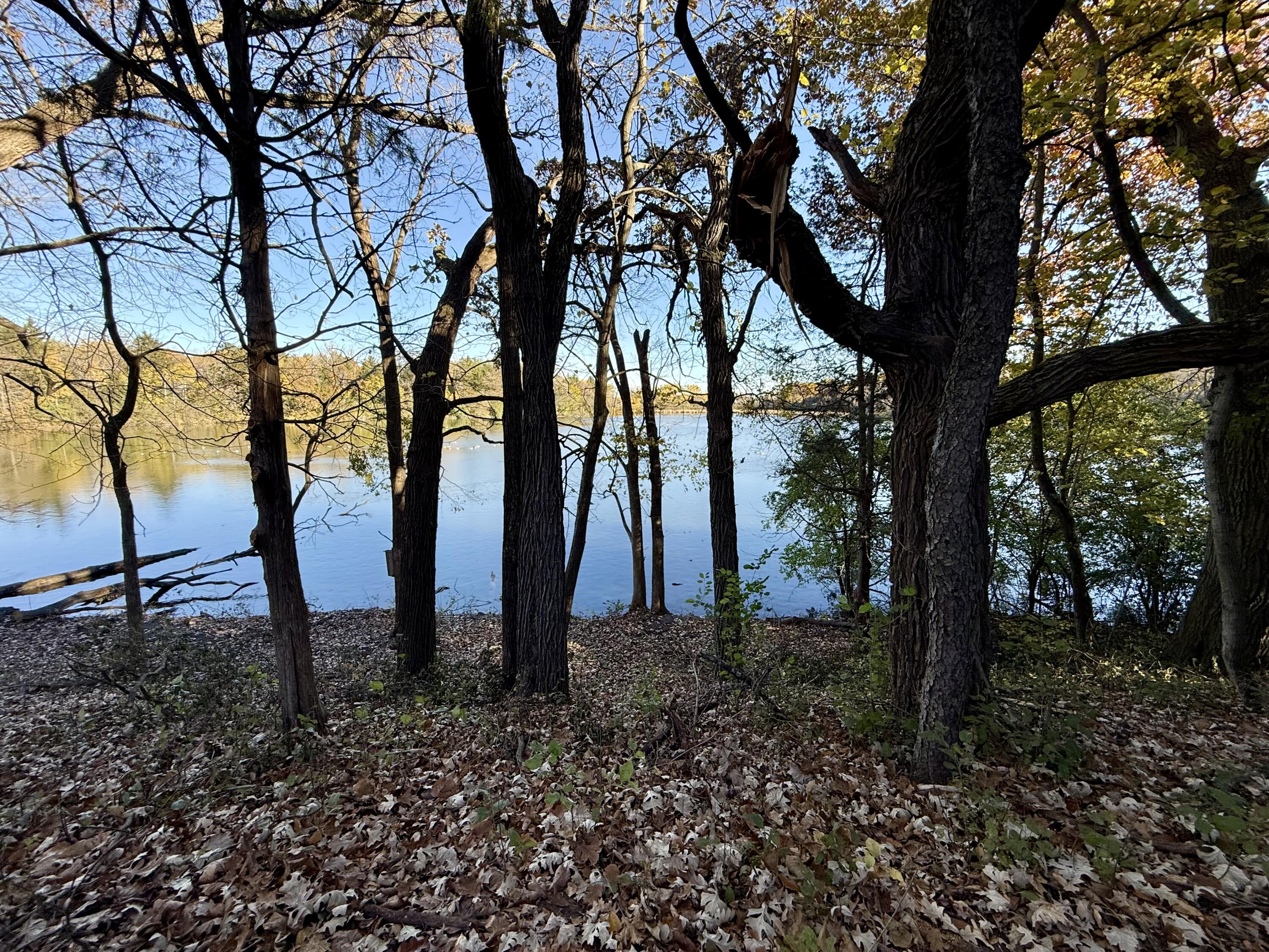 Lt2 Wolf Drive Dousman, WI 53118 - Photo 13 of 13 Lot 2 Lake Frontage