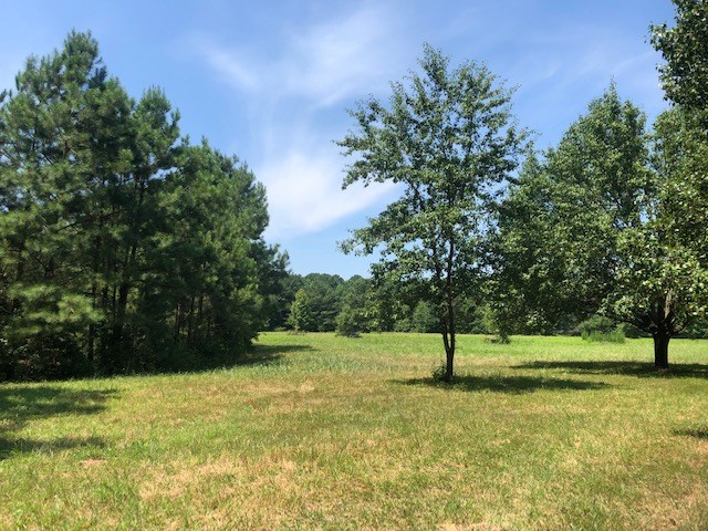 1 Mt Nebo Road, Unit 1 Onancock, VA 23417 - Photo 9 of 11