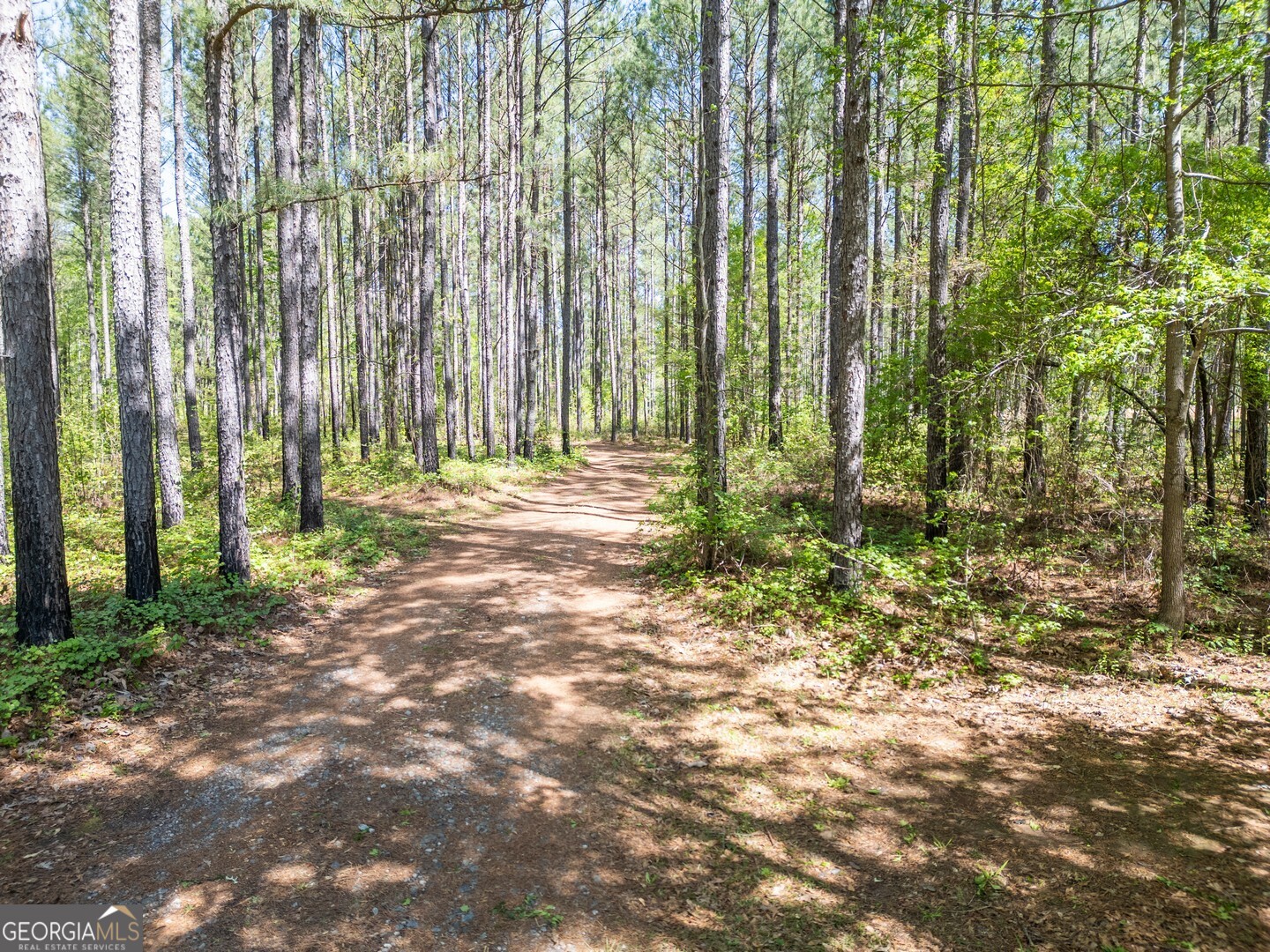 7485 Goolsby Road Monticello, GA 31064 - Photo 49 of 51