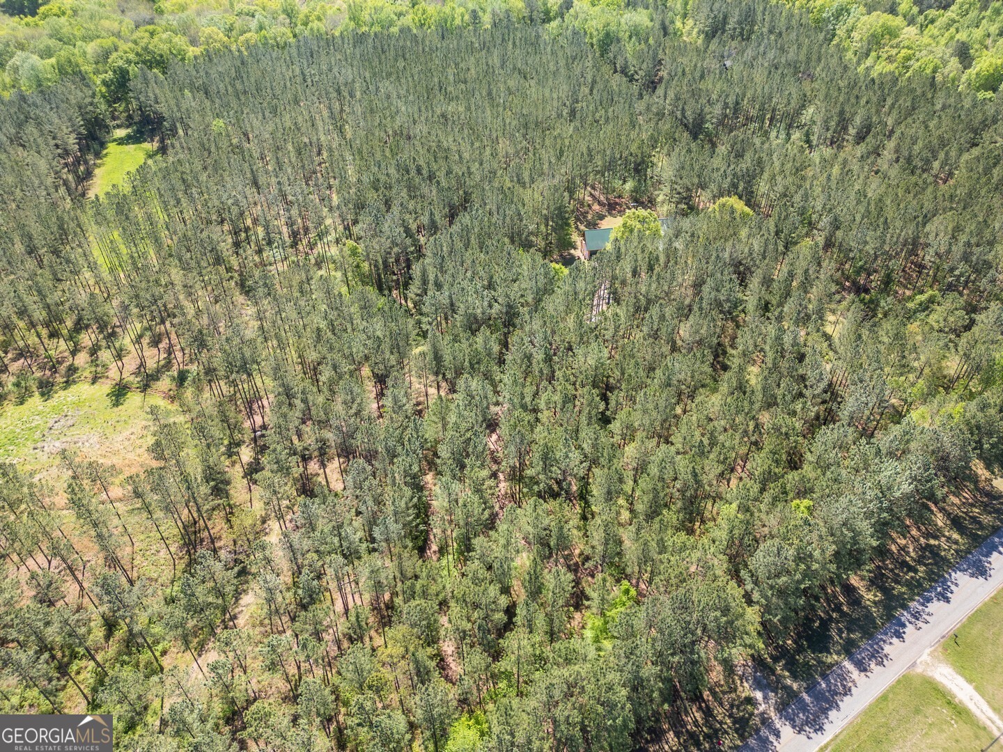 7485 Goolsby Road Monticello, GA 31064 - Photo 51 of 51