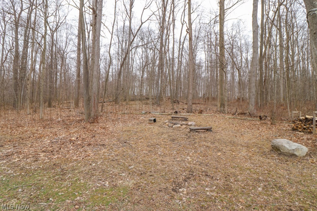 1189 Mowery Road Perrysville, OH 44864 - Photo 2 of 35