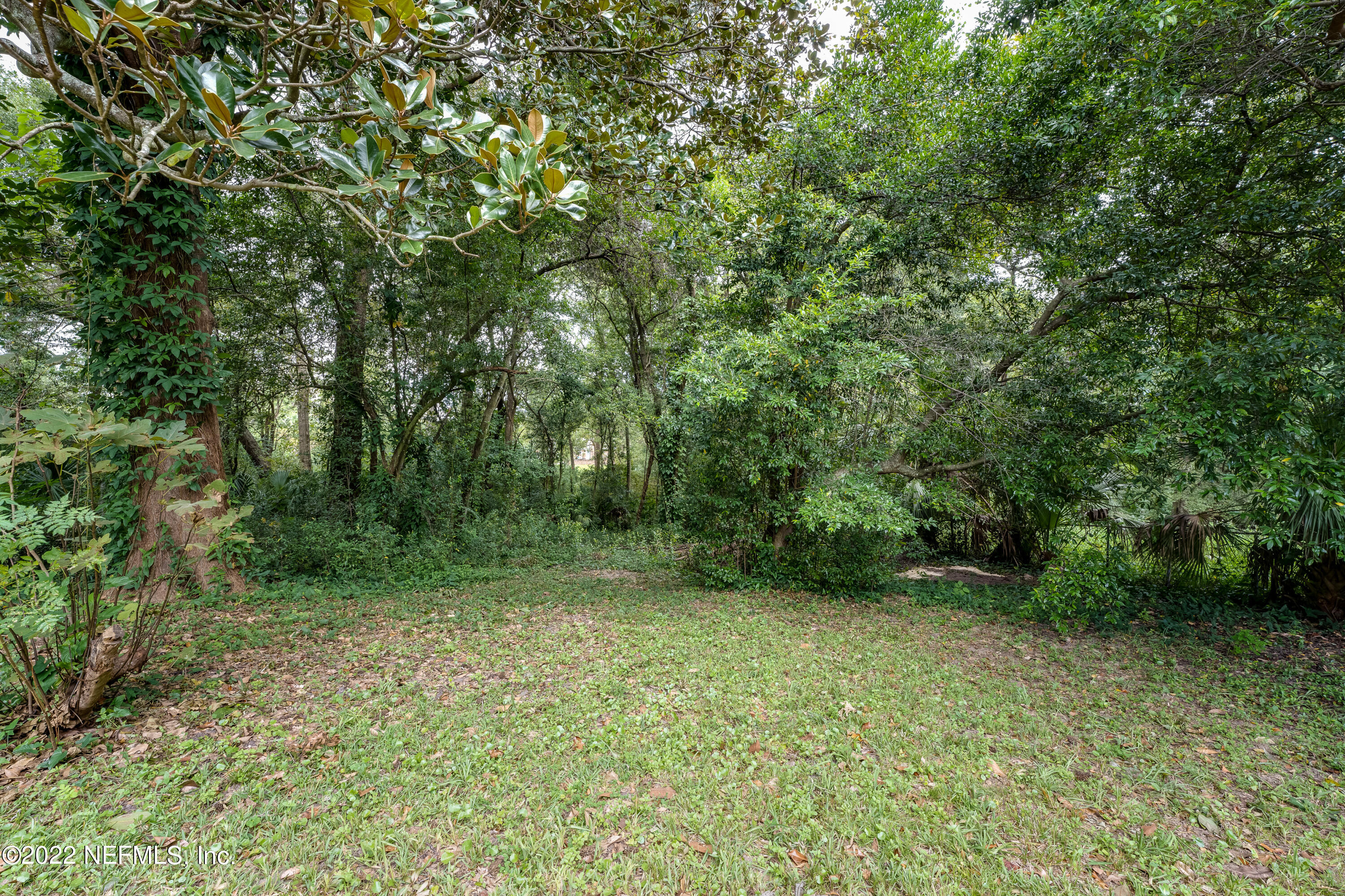 1017 Carlotta Road East Jacksonville, FL 32211 - Photo 36 of 39 20221003 1017 Carlotta Rd036LARGE