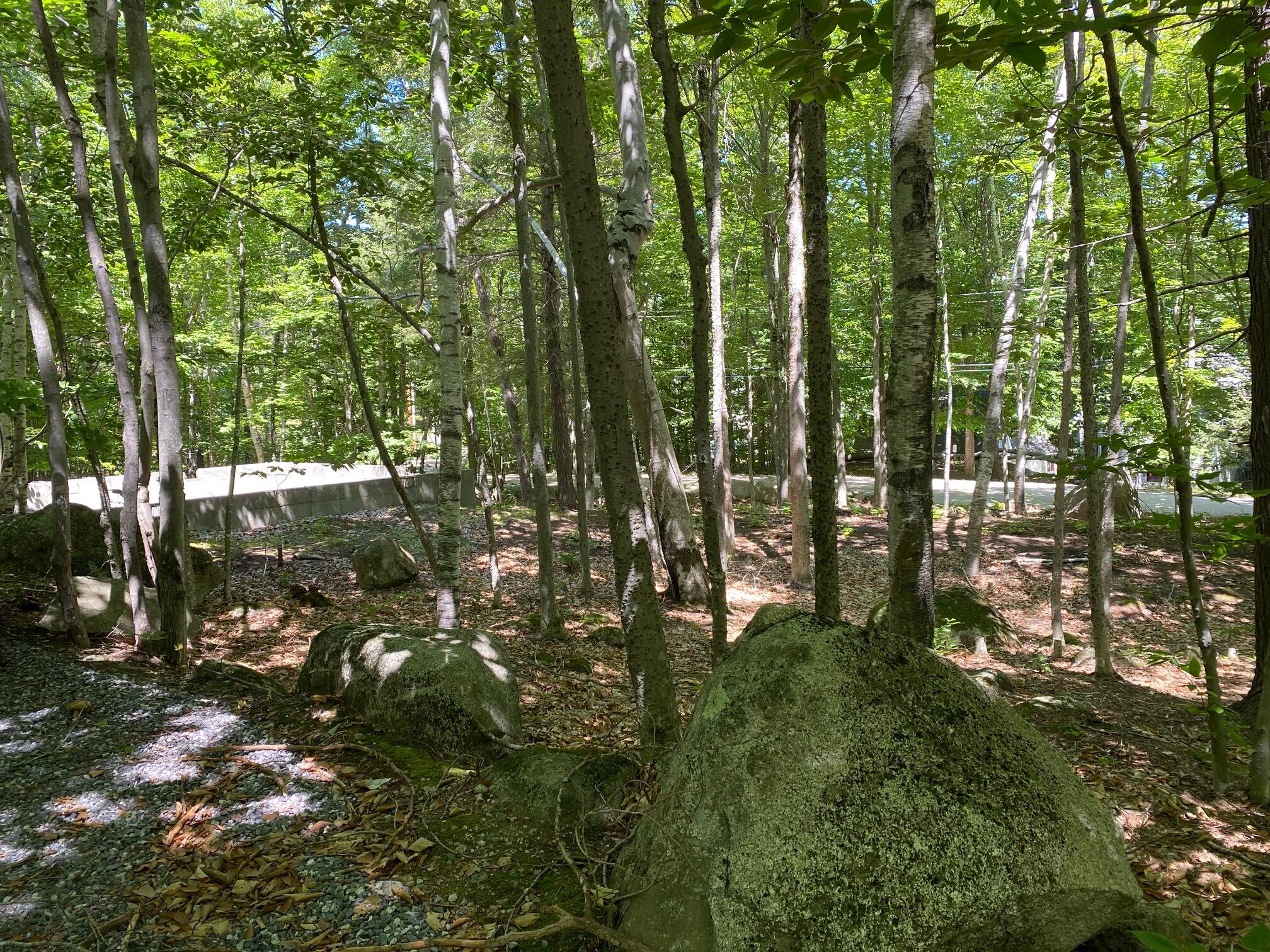 1 Leap View Circle Standish, ME 04084 - Photo 5 of 5 IMG_7856