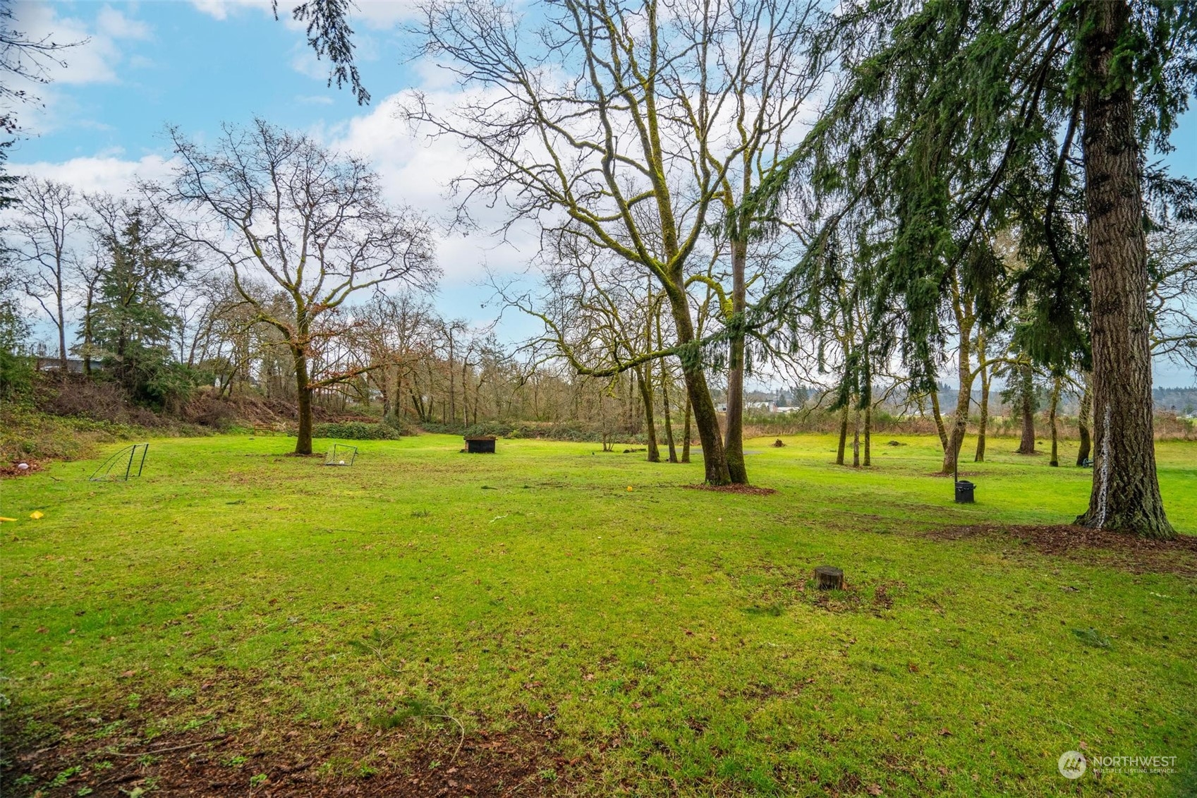 10239 185th Avenue Southwest, Unit 54 Rochester, WA 98579 - Photo 22 of 24 a big yard with trees