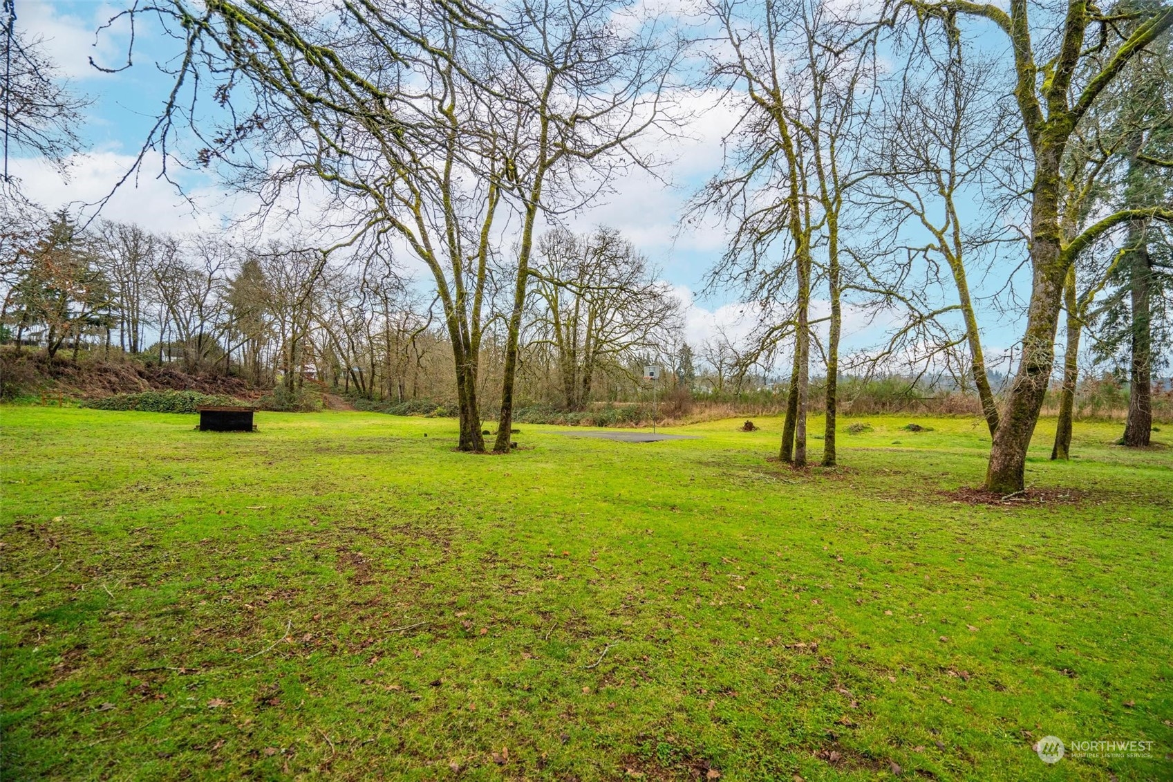 10239 185th Avenue Southwest, Unit 54 Rochester, WA 98579 - Photo 23 of 24 a view of yard with trees