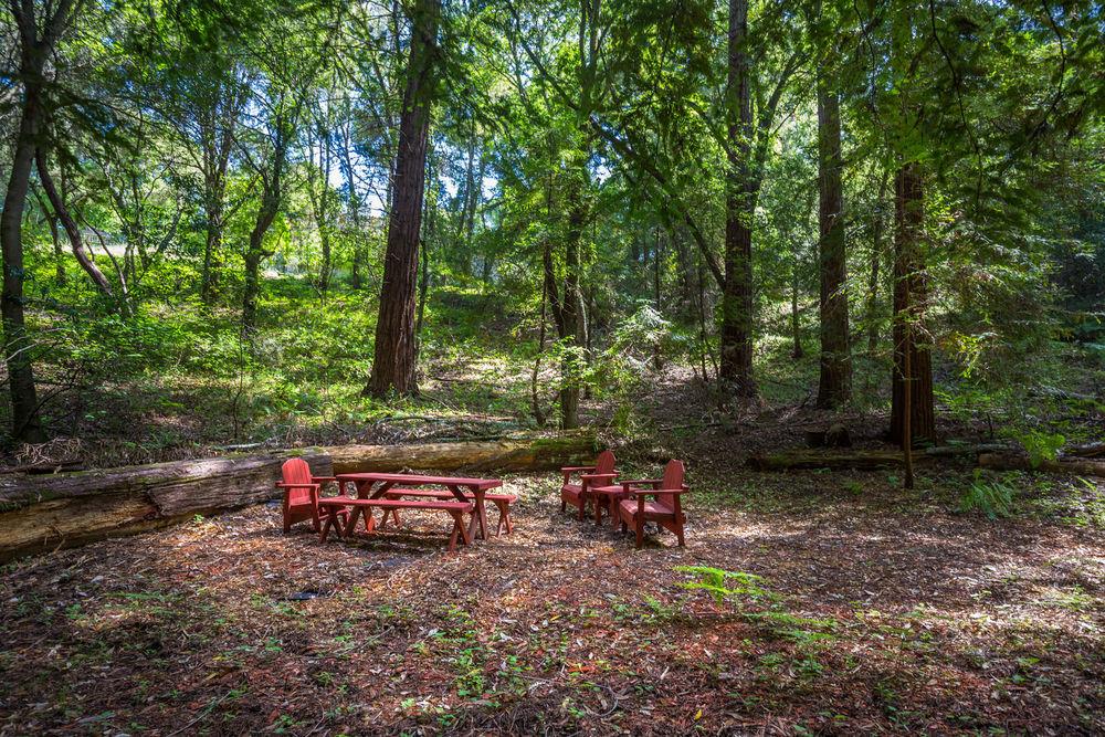 Lot 38 Mountain View Road Santa Cruz, CA 95065 - Photo 12 of 36 Gallery Image 12