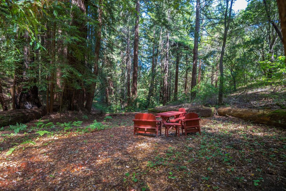 Lot 38 Mountain View Road Santa Cruz, CA 95065 - Photo 13 of 36 Gallery Image 13