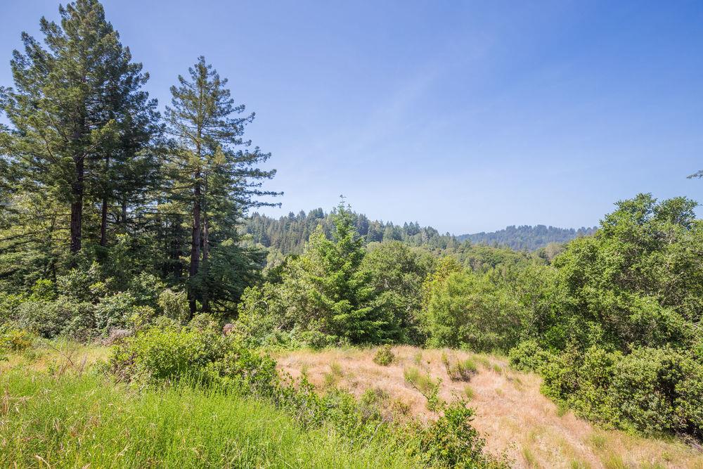 Lot 38 Mountain View Road Santa Cruz, CA 95065 - Photo 16 of 36 Gallery Image 16