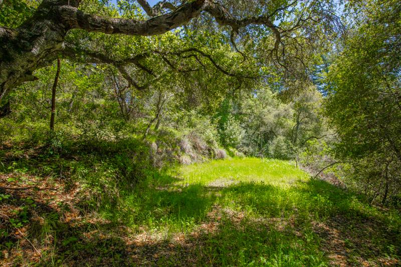 Lot 38 Mountain View Road Santa Cruz, CA 95065 - Photo 17 of 36 Gallery Image 17