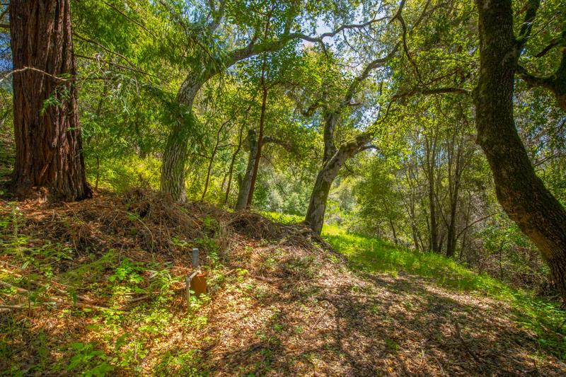 Lot 38 Mountain View Road Santa Cruz, CA 95065 - Photo 19 of 36 Gallery Image 19