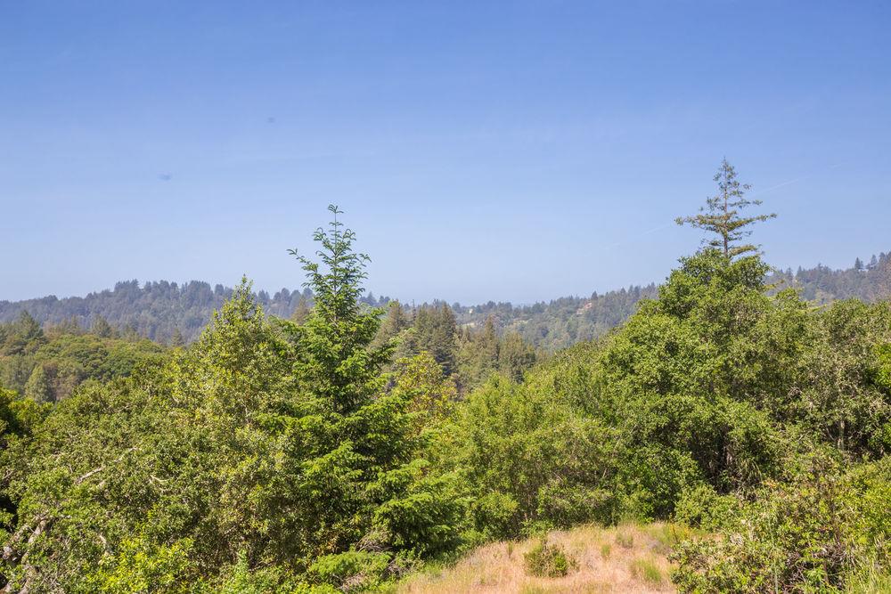 Lot 38 Mountain View Road Santa Cruz, CA 95065 - Photo 6 of 36 Gallery Image 6
