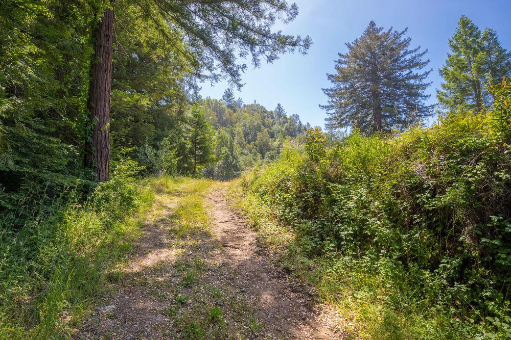 Lot 38 Mountain View Road Santa Cruz, CA 95065 - Photo 9 of 36 Gallery Image 9