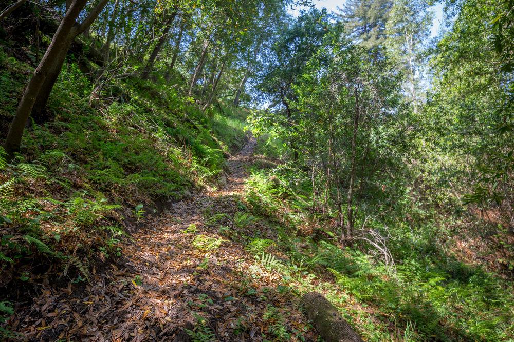 Lot 38 Mountain View Road Santa Cruz, CA 95065 - Photo 10 of 36 Gallery Image 10