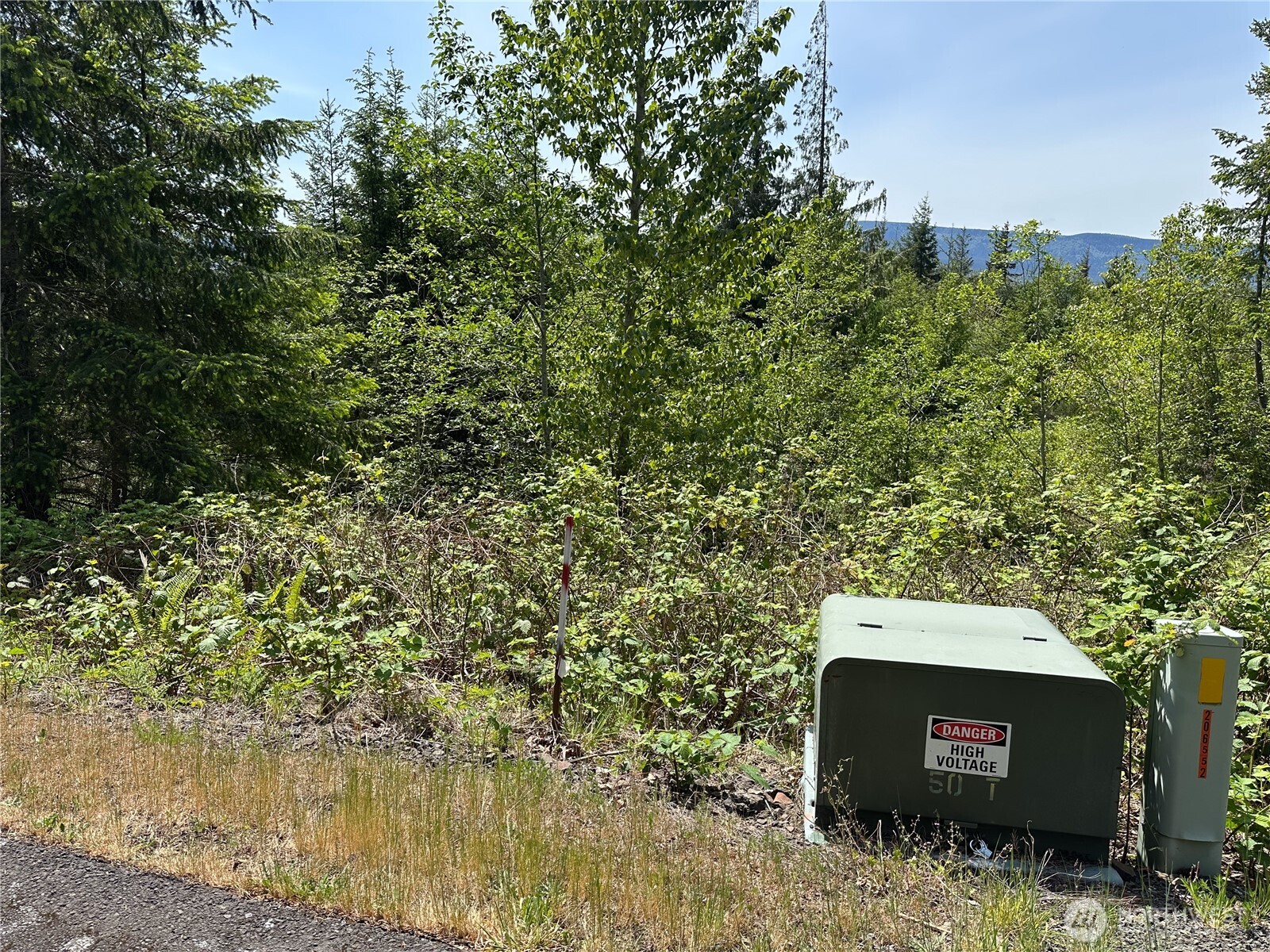 0 Maple Ridge Road Cathlamet, WA 98612 - Photo 5 of 12 a backyard of a house with lots of green space