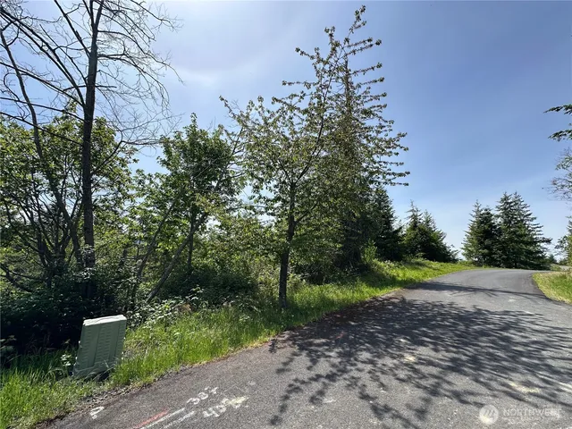 a view of a road with plants and trees