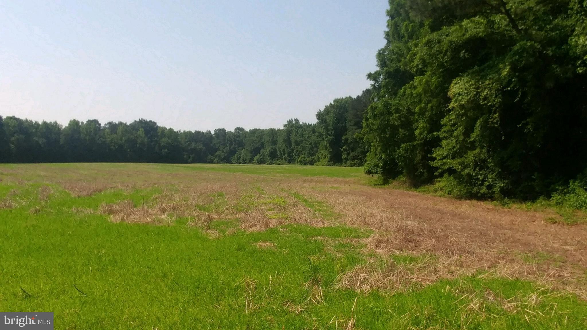 Miller Road Cordova, MD 21625 - Photo 5 of 5 Lot