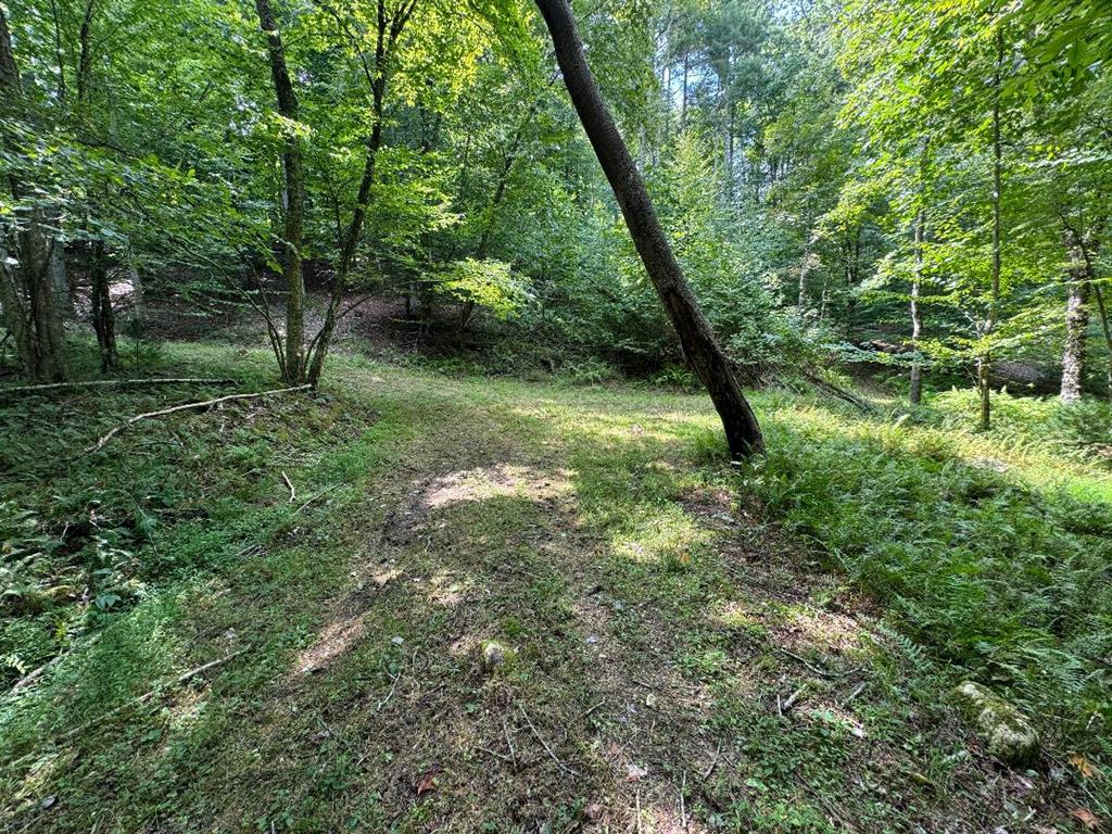 Tbd High Point Road Woodlawn, VA 24381 - Photo 5 of 18 Gallery Image 5