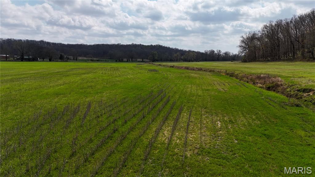 0 State Highway Jackson, MO 63755 - Photo 13 of 14