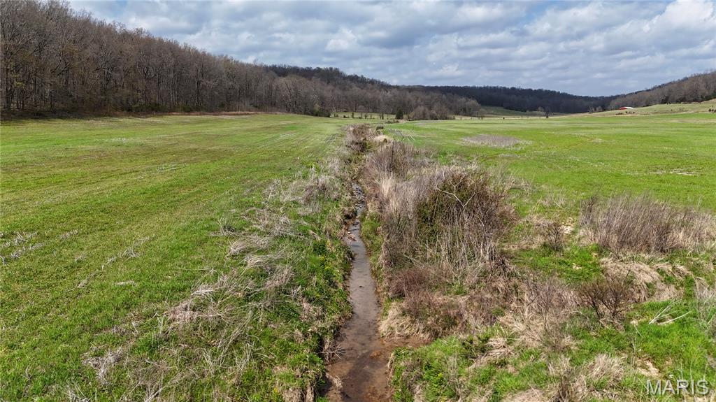 0 State Highway Jackson, MO 63755 - Photo 4 of 14