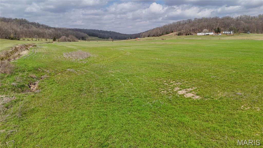 0 State Highway Jackson, MO 63755 - Photo 5 of 14