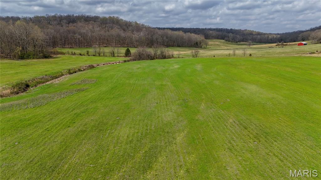 0 State Highway Jackson, MO 63755 - Photo 6 of 14