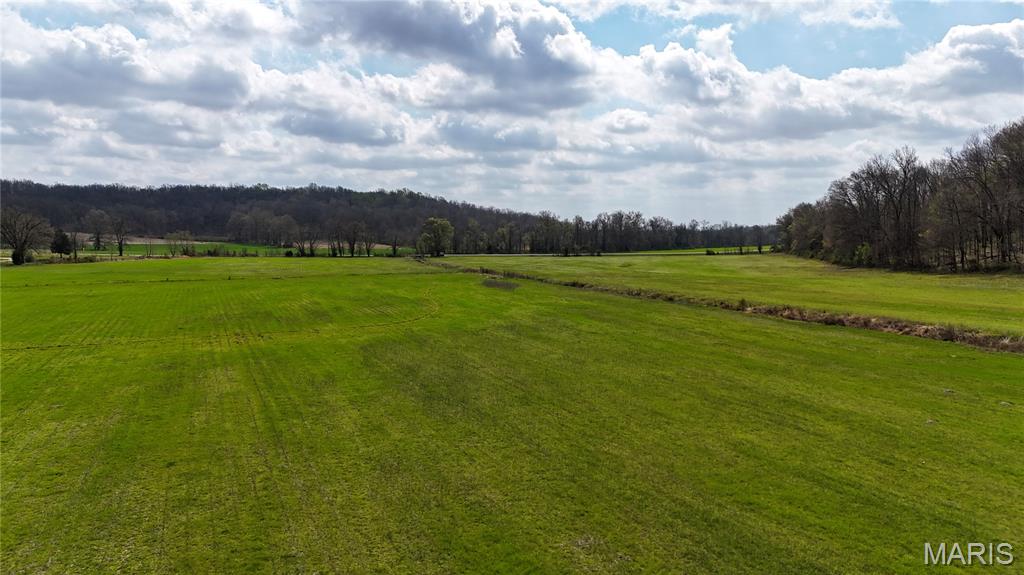 0 State Highway Jackson, MO 63755 - Photo 7 of 14