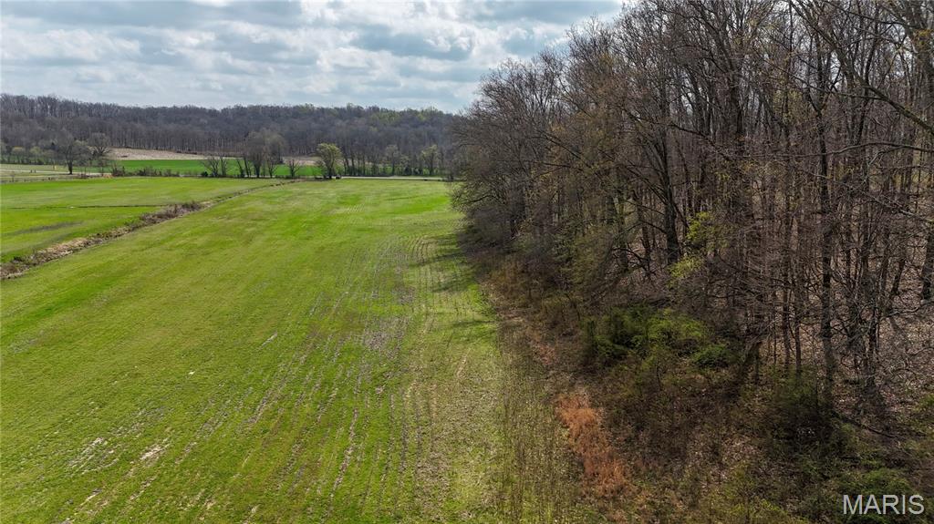 0 State Highway Jackson, MO 63755 - Photo 8 of 14