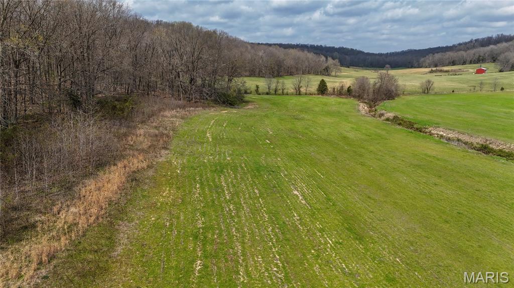 0 State Highway Jackson, MO 63755 - Photo 9 of 14