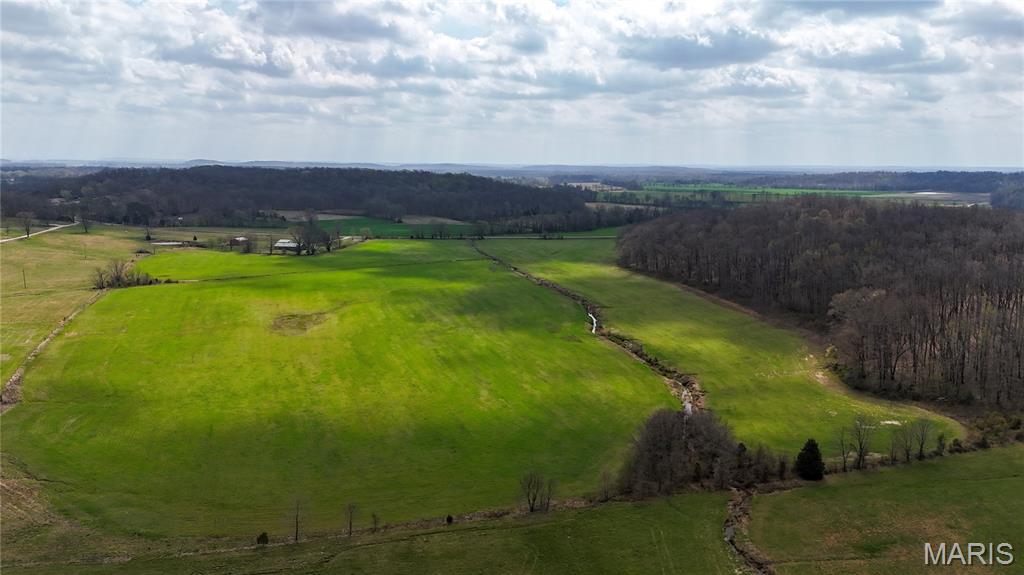 0 State Highway Jackson, MO 63755 - Photo 10 of 14