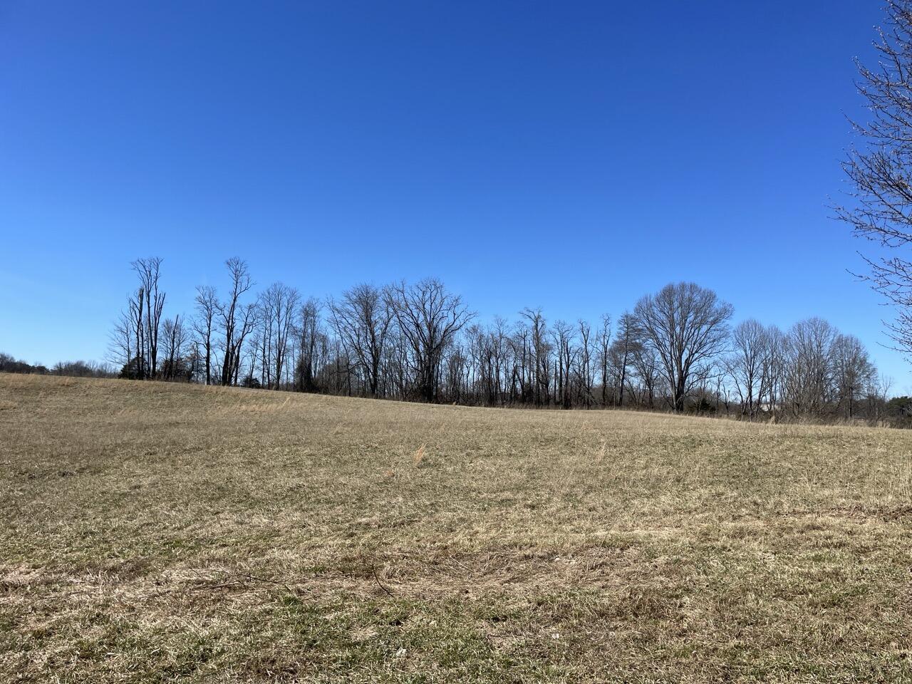460 Lawless Cemetery Road Jamestown, KY 42629 - Photo 7 of 23 Exterior_Yard_2