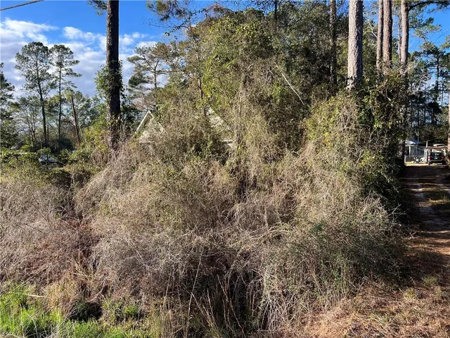 $5,000 | 0 Highway 1088 Highway, Mandeville, LA 70448