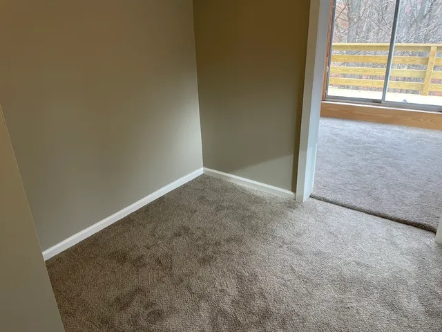 a view of a back yard