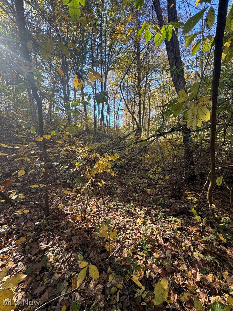F B Eye Road Blue Rock, OH 43720 - Photo 24 of 41 View of undeveloped land