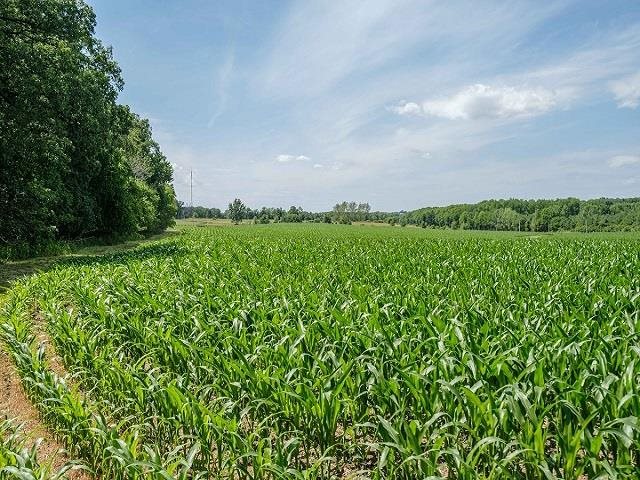 4909 West Edgewood Road Dixon, IL 61021 - Photo 88 of 96