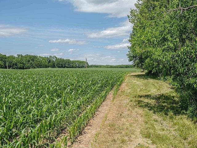 4909 West Edgewood Road Dixon, IL 61021 - Photo 89 of 96 a view of an outdoor space and a yard