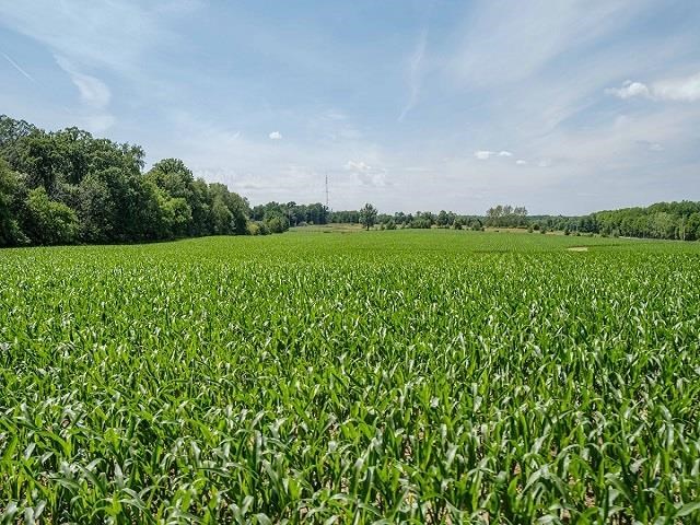 4909 West Edgewood Road Dixon, IL 61021 - Photo 90 of 96 a view of a lush green outdoor space with a lake view
