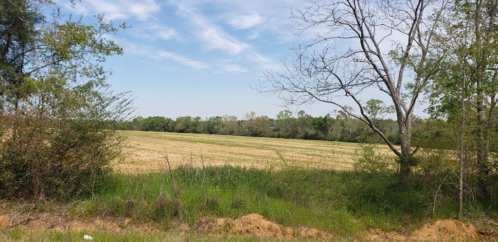 3-acres Bill Yance Road Webb, AL 36376 - Photo 1 of 1