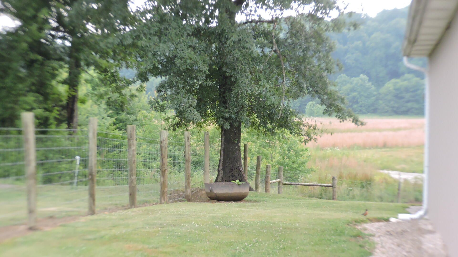 6845 Levee Road Jeffersonville, KY 40337 - Photo 36 of 37 DSCN9062