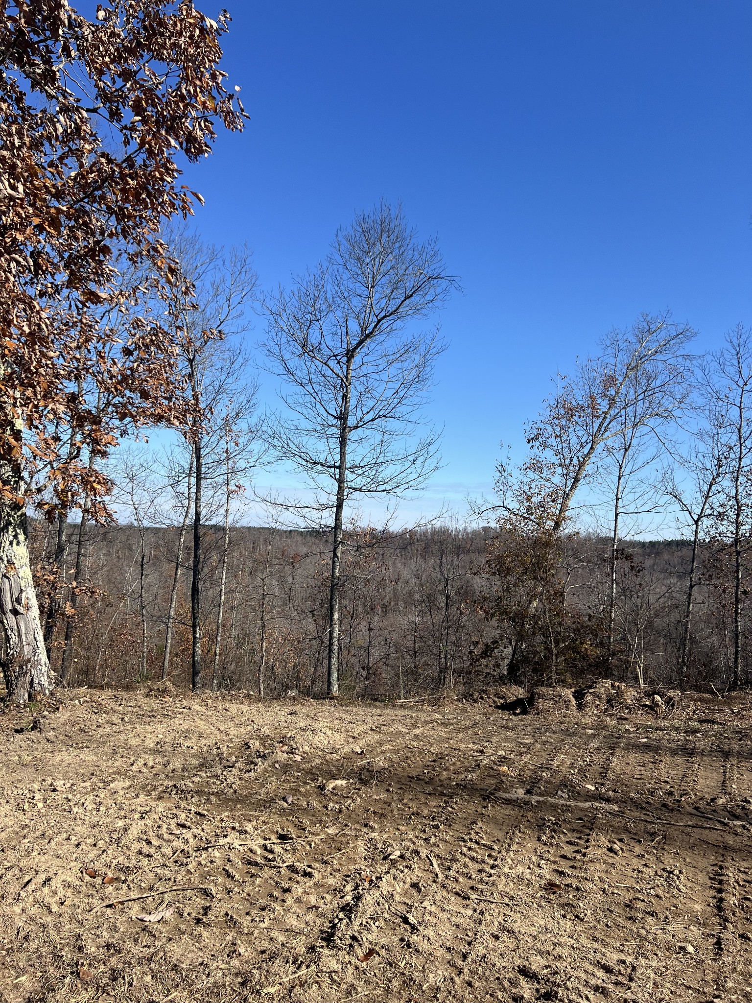 91 D Rolling Hills Road Lobelville, TN 37097 - Photo 2 of 2