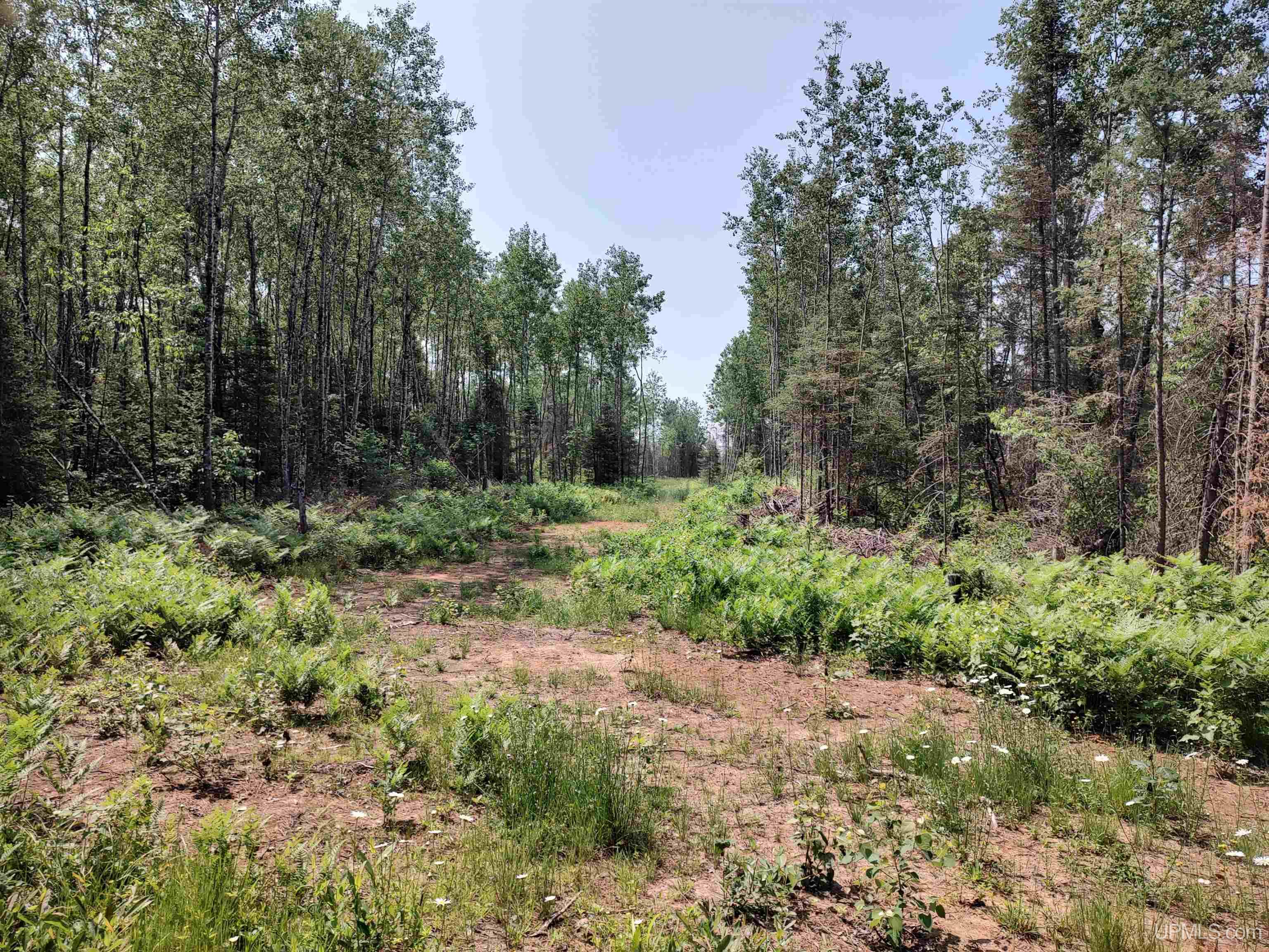 601 County Road 601 Road Republic, MI 49879 - Photo 32 of 60