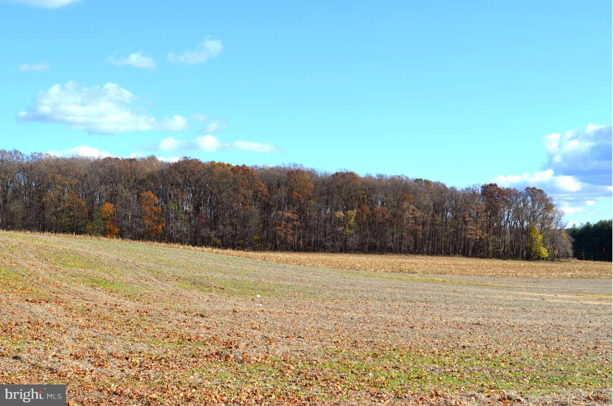 214 Ridge Road Freeland, MD 21053 - Photo 2 of 3 a view of an outdoor space and mountain view