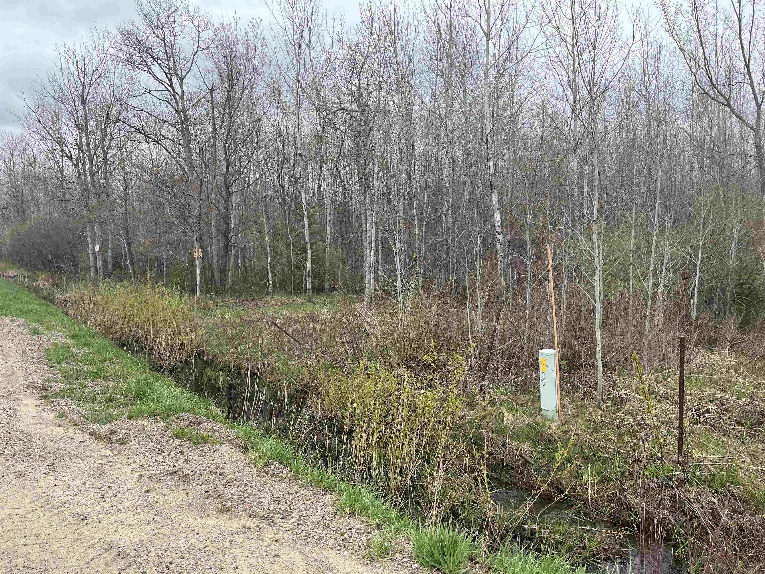 0 Wallen Road Thompsonville, MI 49683 - Photo 14 of 16 1947190-db06e90b-ffd7-4980-a873-111e2df61384.JPG