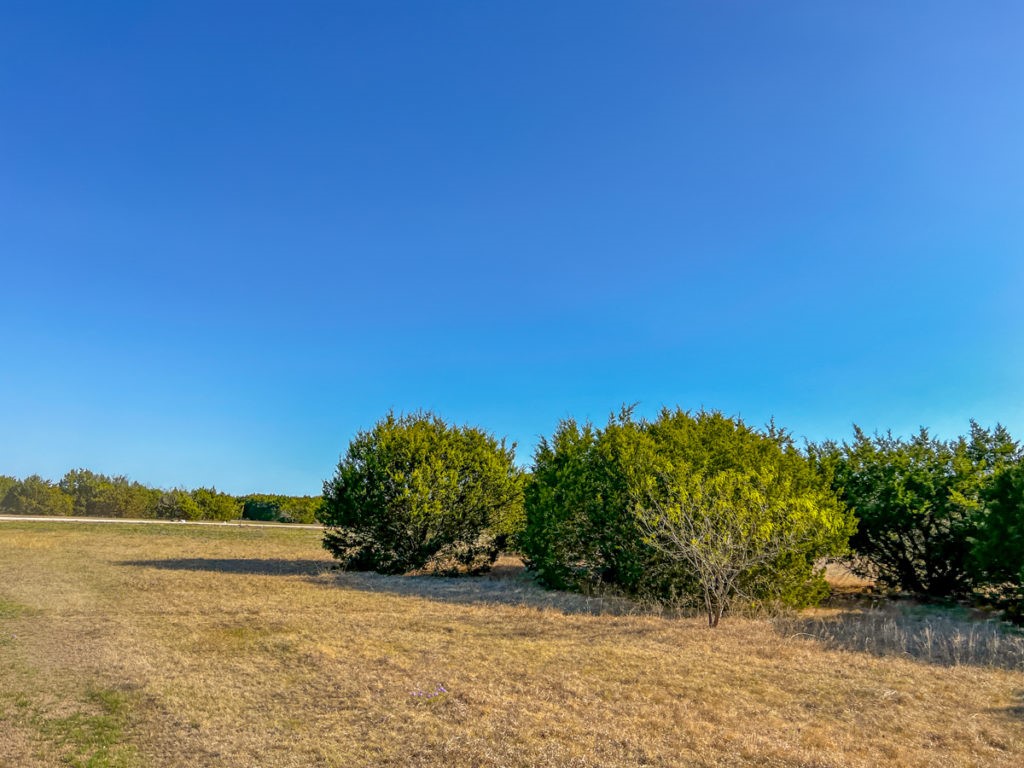 10 Hamilton Jonesboro, TX 76538 - Photo 3 of 6