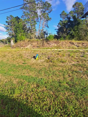 a view of a yard with an outdoor space