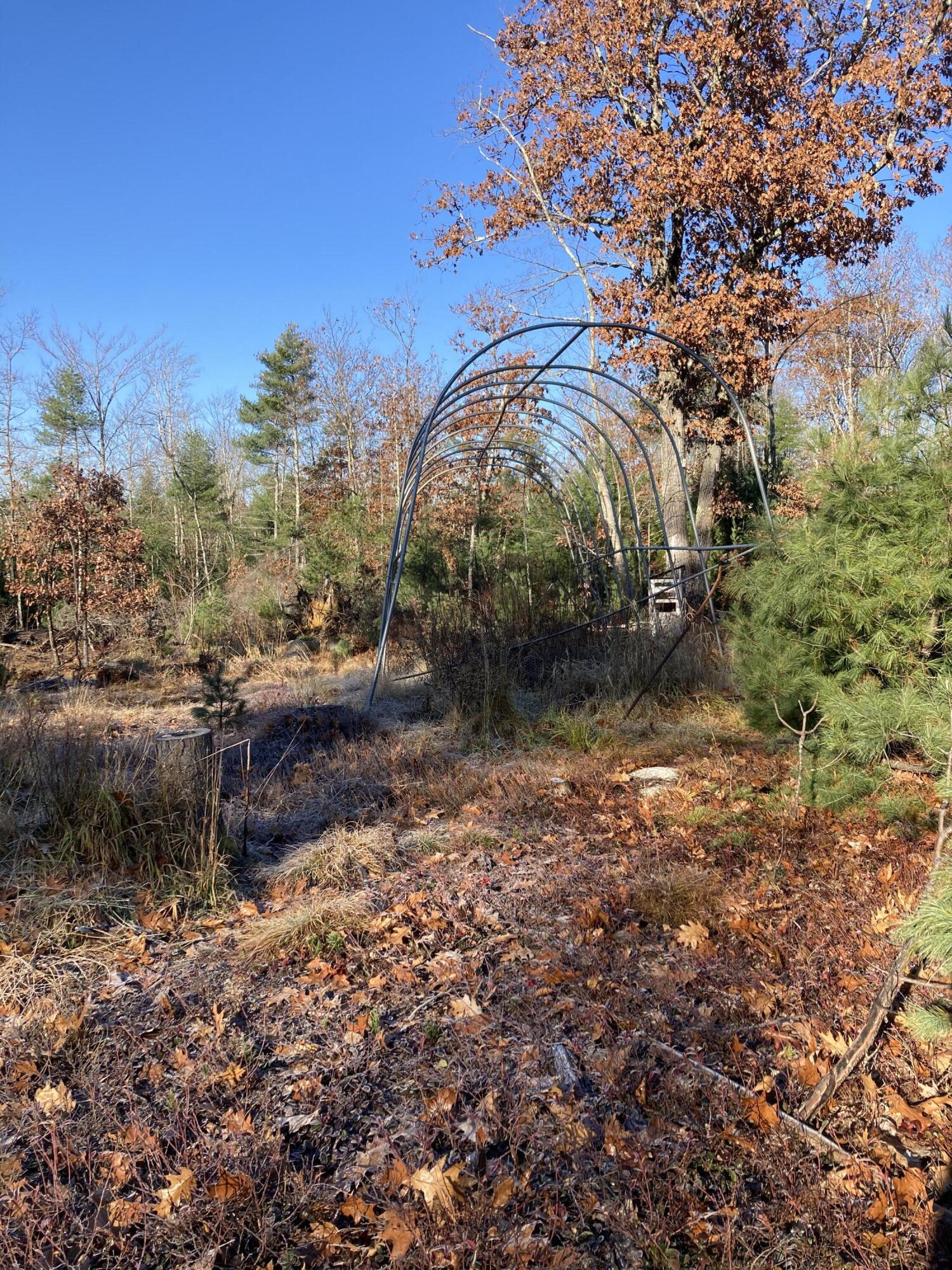 0 Old Ledge Road Lebanon, ME 04027 - Photo 7 of 11 IMG_5358